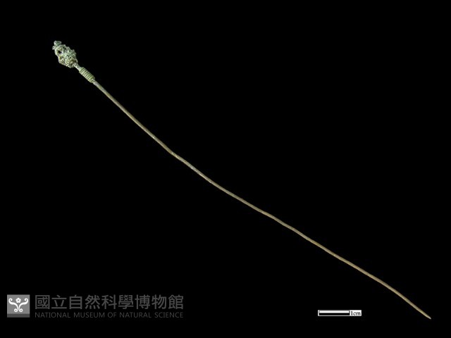 髮簪藏品圖，第1張