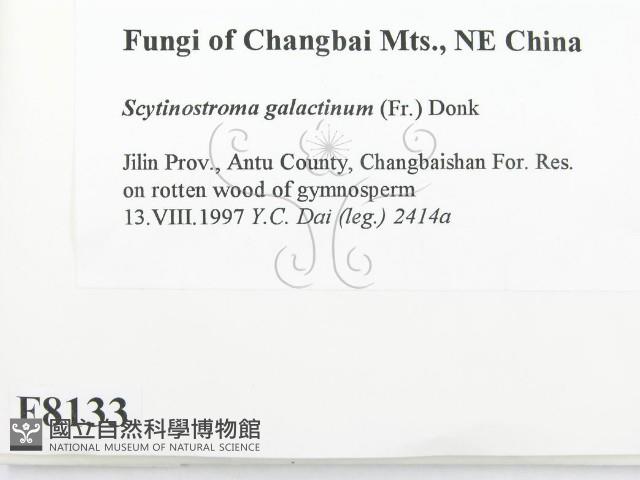 登錄號:F0008133藏品圖，第2張