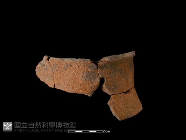 陶罐藏品圖，第1張