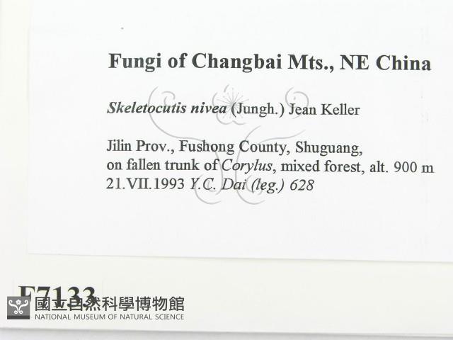 登錄號:F0007133藏品圖，第2張