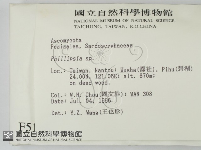 登錄號:F0005133藏品圖，第2張