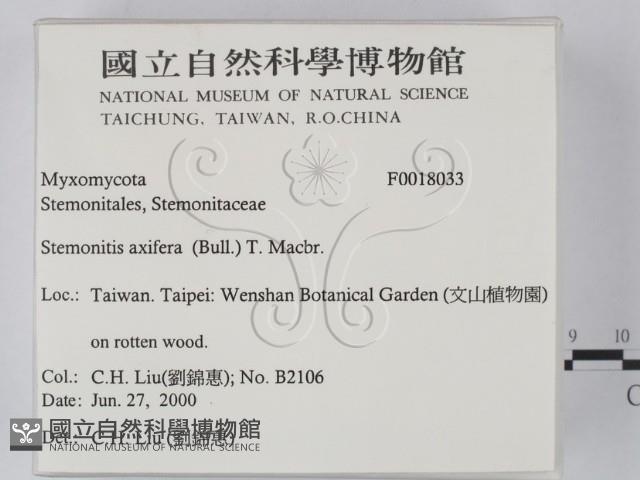 登錄號:F0018033藏品圖，第2張