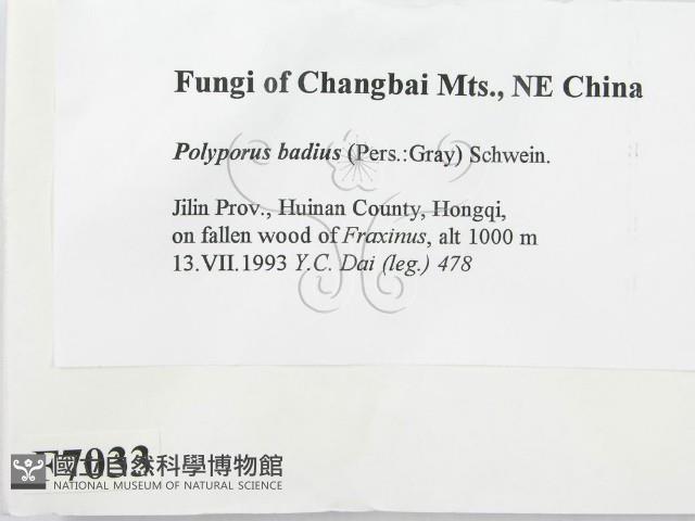 登錄號:F0007033藏品圖，第2張