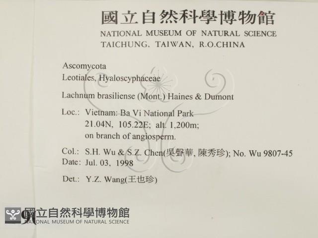 登錄號:F0009033藏品圖，第2張
