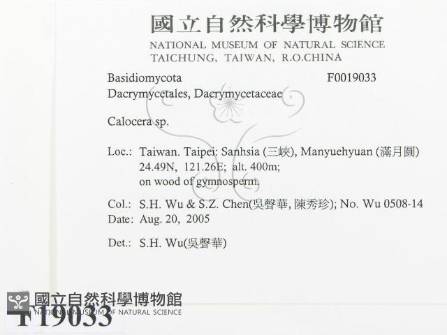 登錄號:F0019033藏品圖，第2張
