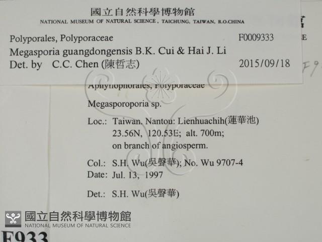 登錄號:F0009333藏品圖，第2張