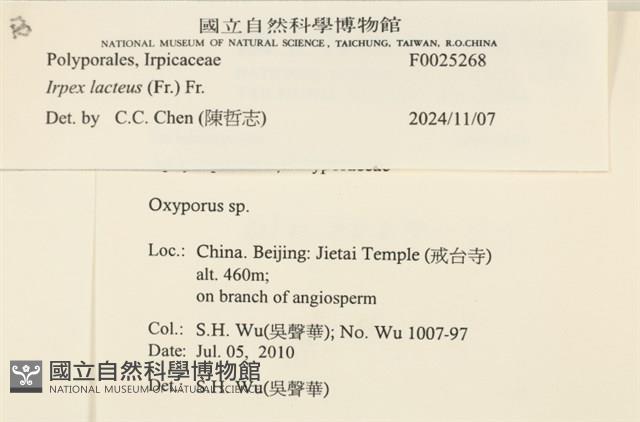 登錄號:F0025268藏品圖，第4張