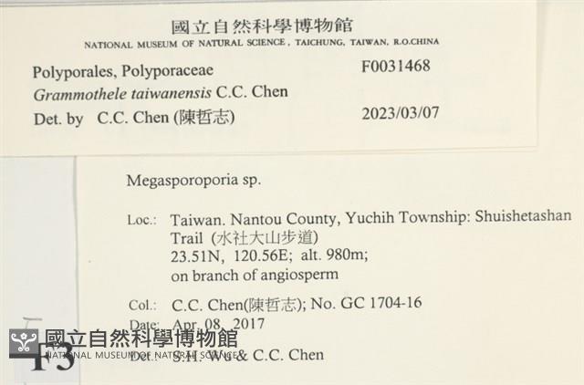 登錄號:F0031468藏品圖，第3張