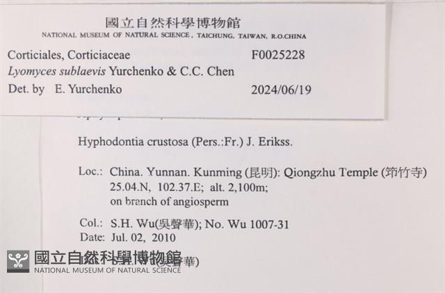 登錄號:F0025228藏品圖，第6張