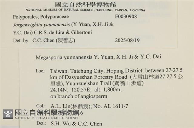 登錄號:F0030908藏品圖，第4張