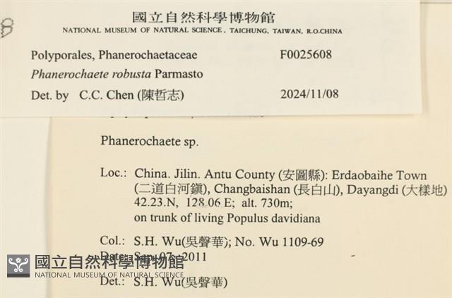 登錄號:F0025608藏品圖，第4張