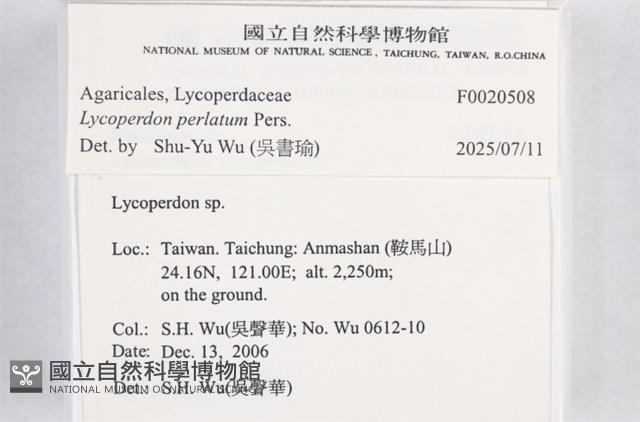 登錄號:F0020508藏品圖，第4張