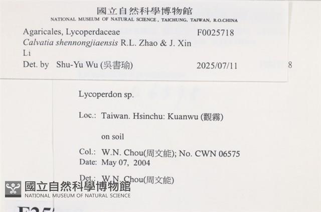 Accession Number:F0025718 Collection Image, Figure 4, Total 4 Figures