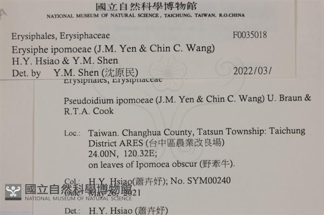 登錄號:F0035018藏品圖，第3張