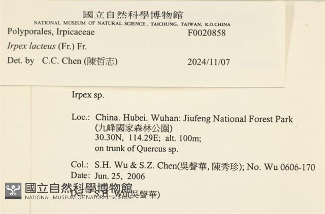 登錄號:F0020858藏品圖，第4張