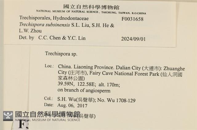 登錄號:F0031658藏品圖，第3張