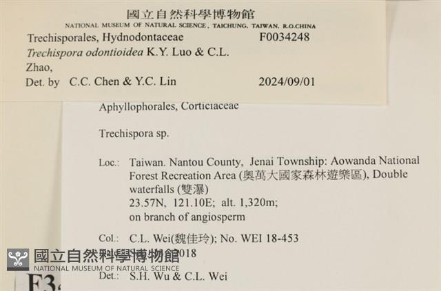 館號:F0034248藏品圖，第3張