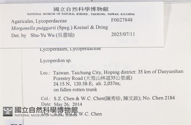 登錄號:F0027848藏品圖，第3張