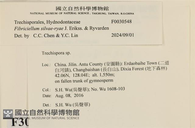 登錄號:F0030548藏品圖，第3張