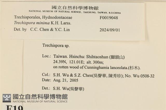 登錄號:F0019048藏品圖，第3張