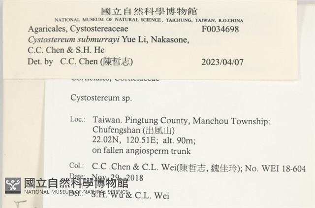 登錄號:F0034698藏品圖，第3張