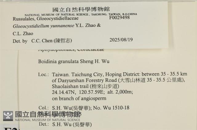 登錄號:F0029498藏品圖，第4張