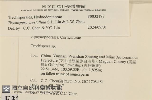 登錄號:F0032198藏品圖，第3張