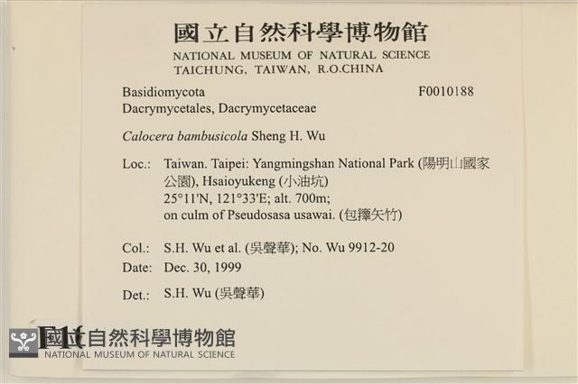 登錄號:F0010188藏品圖，第4張