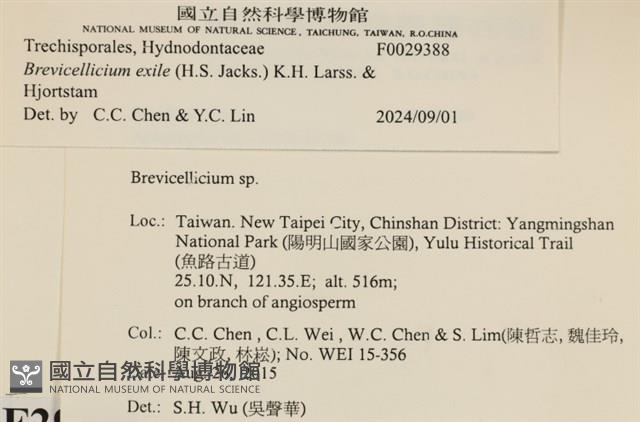 館號:F0029388藏品圖，第3張