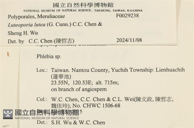 登錄號:F0029238藏品圖，第4張