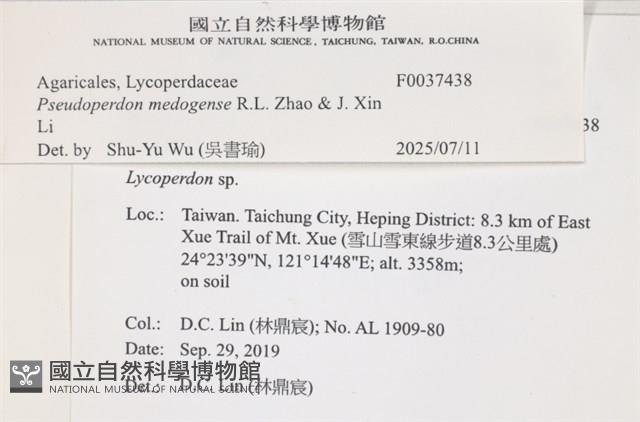 登錄號:F0037438藏品圖，第2張