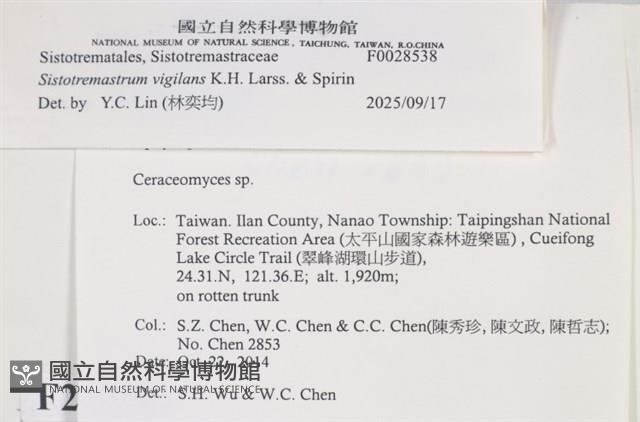 登錄號:F0028538藏品圖，第3張