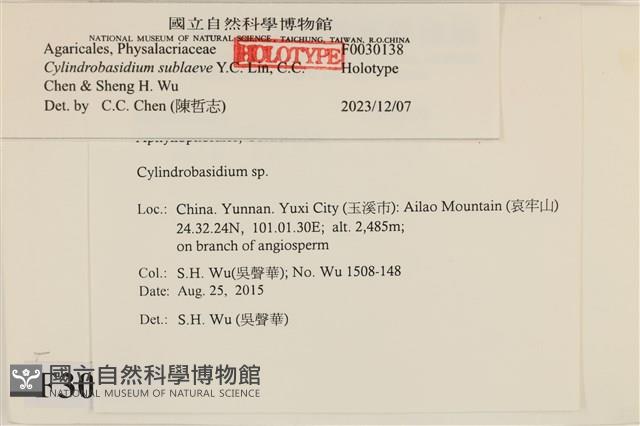 登錄號:F0030138藏品圖，第3張