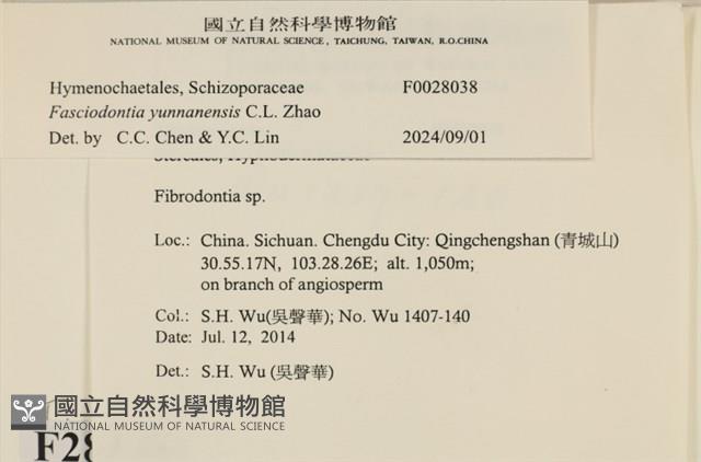 登錄號:F0028038藏品圖，第3張