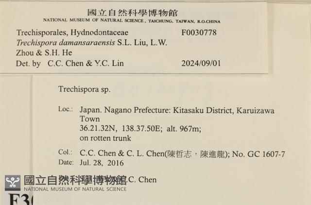 登錄號:F0030778藏品圖，第3張