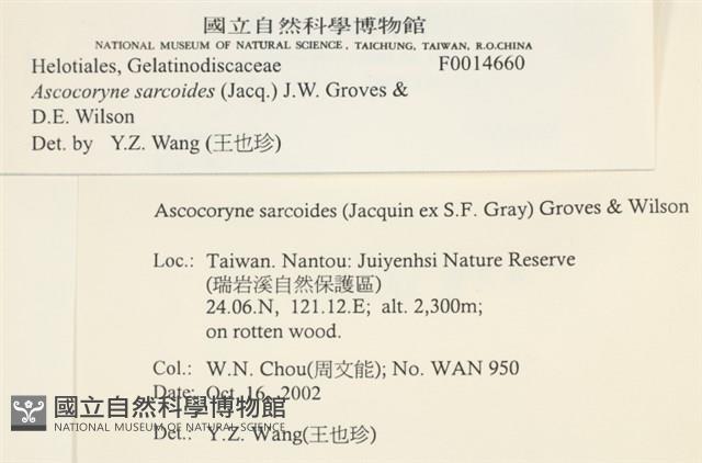 登錄號:F0014660藏品圖，第3張