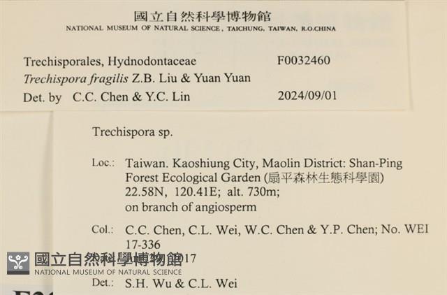 登錄號:F0032460藏品圖，第3張