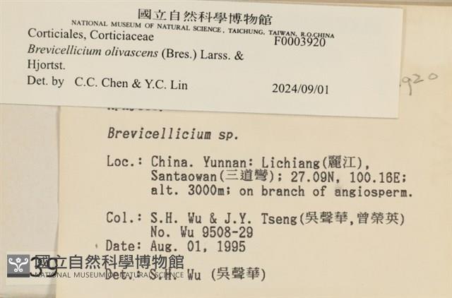 登錄號:F0003920藏品圖，第6張