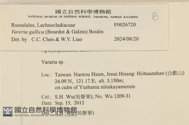 登錄號:F0026720藏品圖，第4張