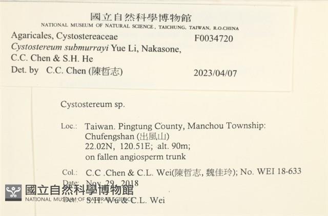 登錄號:F0034720藏品圖，第3張