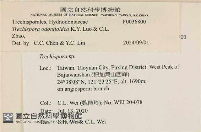 登錄號:F0036800藏品圖，第2張