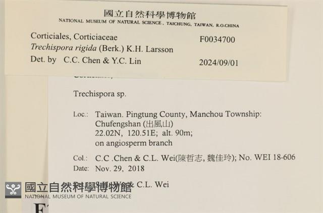 登錄號:F0034700藏品圖，第4張