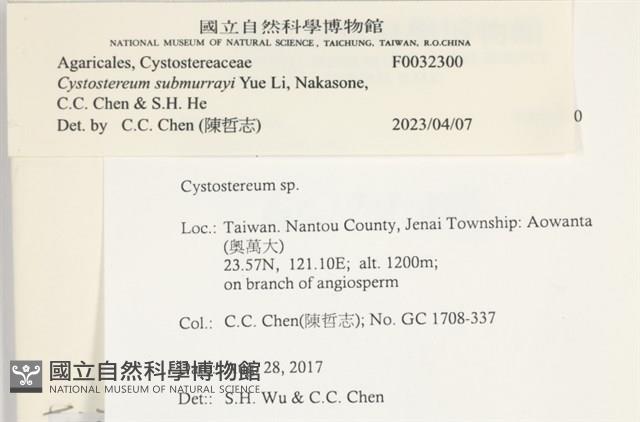 登錄號:F0032300藏品圖，第3張