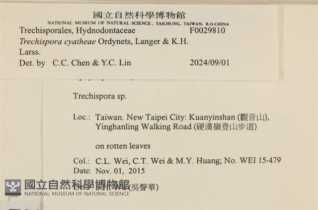 館號:F0029810藏品圖，第3張