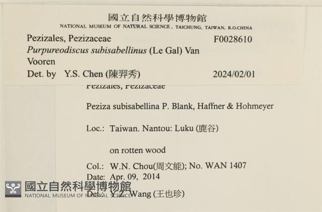 登錄號:F0028610藏品圖，第3張