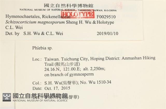 登錄號:F0029510藏品圖，第3張