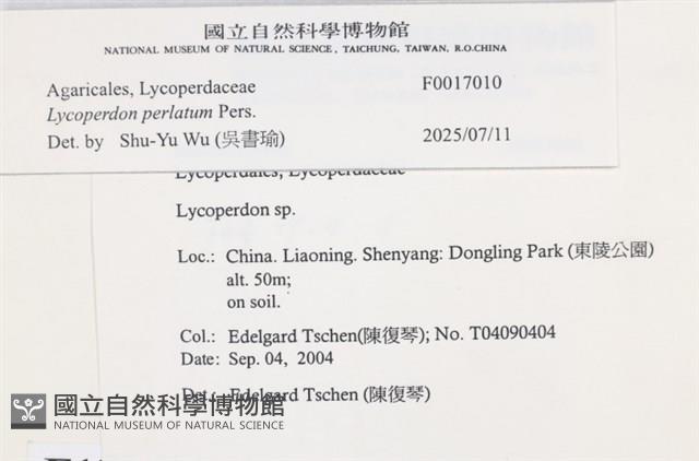 登錄號:F0017010藏品圖，第3張