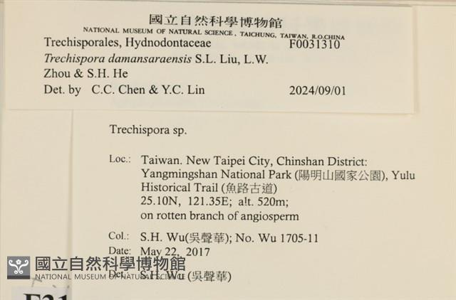 登錄號:F0031310藏品圖，第3張