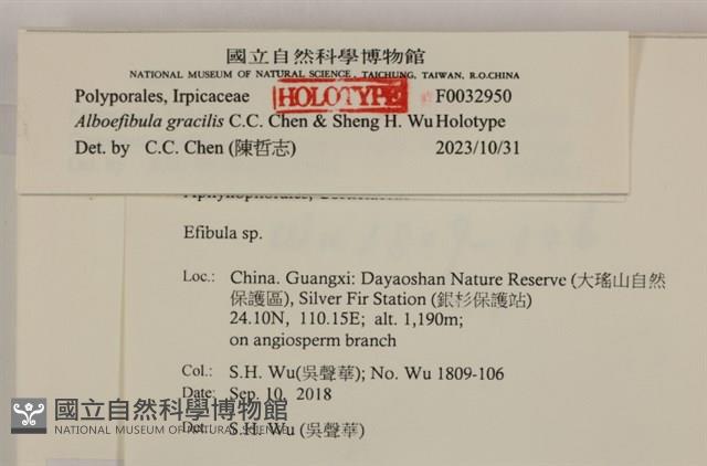 登錄號:F0032950藏品圖，第3張