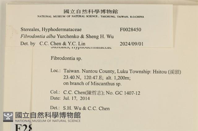 登錄號:F0028450藏品圖，第3張